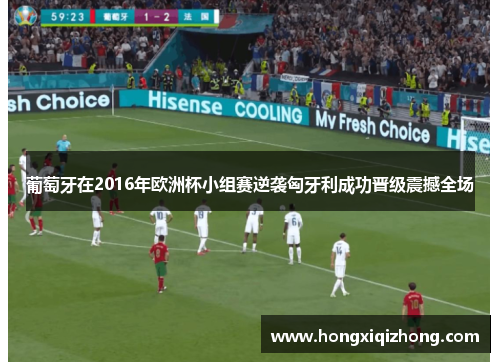葡萄牙在2016年欧洲杯小组赛逆袭匈牙利成功晋级震撼全场 葡萄牙在2016年欧洲杯小组赛逆袭匈牙利成功晋级震撼全场