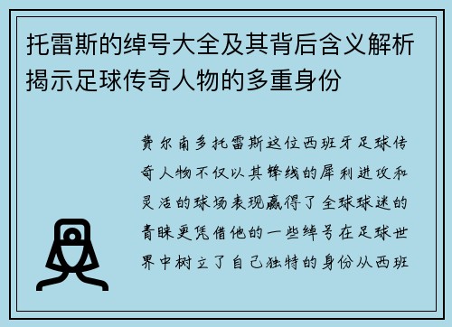 托雷斯的绰号大全及其背后含义解析揭示足球传奇人物的多重身份